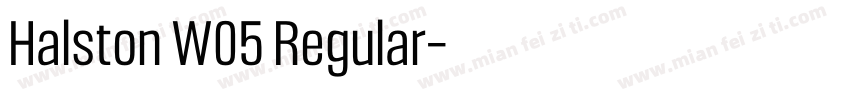 Halston W05 Regular字体转换